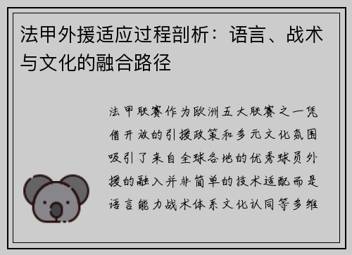 法甲外援适应过程剖析：语言、战术与文化的融合路径