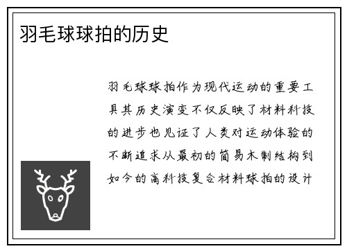 羽毛球球拍的历史